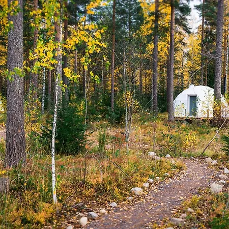 Igloo Glamping Lakeland Camp *