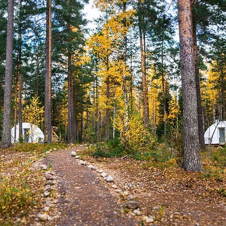 Glamping Igloo Glamping Lakeland Camp