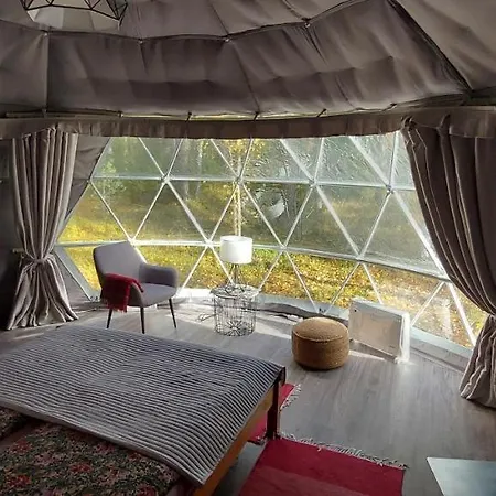 豪华帐篷 Igloo Glamping Lakeland Camp