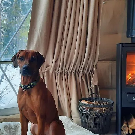 Igloo Glamping Lakeland Camp *