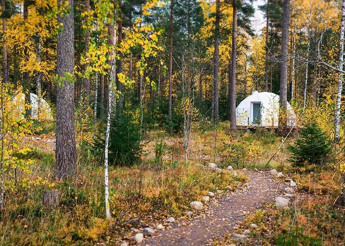 Igloo Glamping Lakeland Camp *