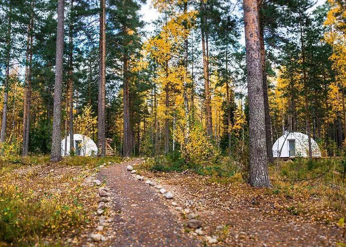 럭셔리텐트 Igloo Glamping Lakeland Camp