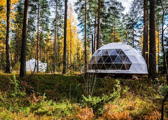 Igloo Glamping Lakeland Camp 럭셔리텐트