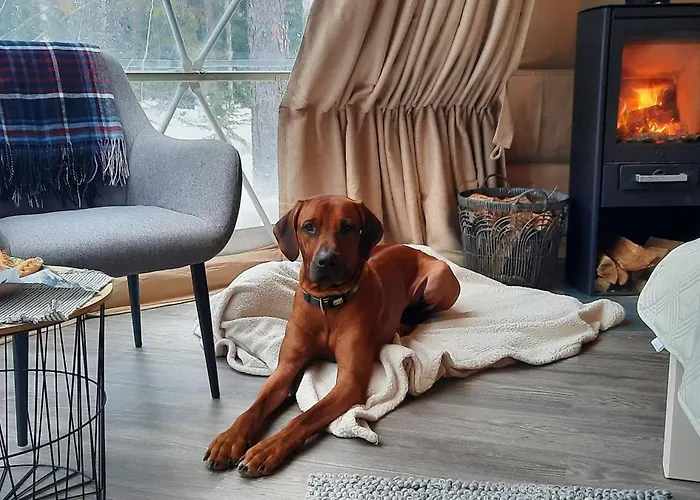 Igloo Glamping Lakeland Camp * 이마트라